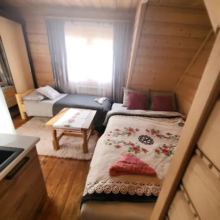 Jelonek * Zakopane